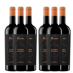 6 botellas vino tinto viñas viejas Fariña Campus Gothorum