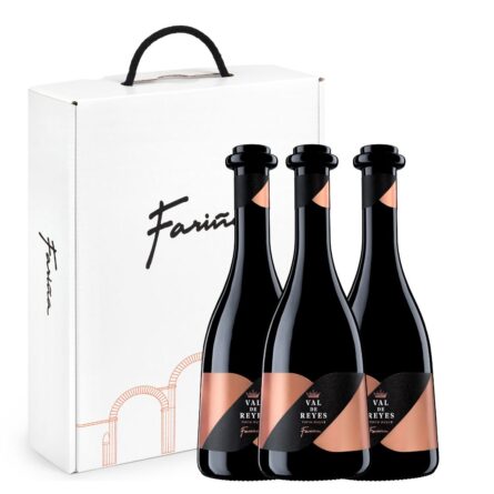 Estuche regalo Val de Reyes tinto dulce