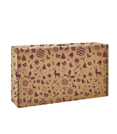 caja-jamonera-25-con-paleta-curada